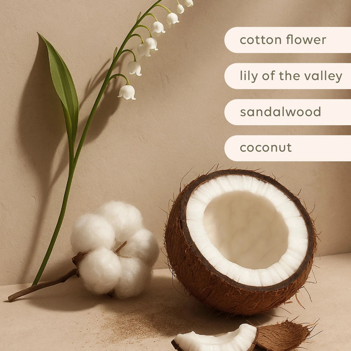 Al.ive Body - Reed Diffuser | Sea Cotton & Coconut Diffuser Al.ive Body Baby 