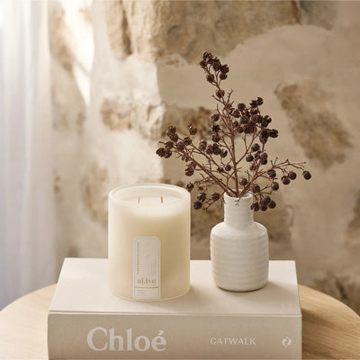 Al.ive Body - Soy Candle | Mango & Lychee Candle Al.ive Body Baby 