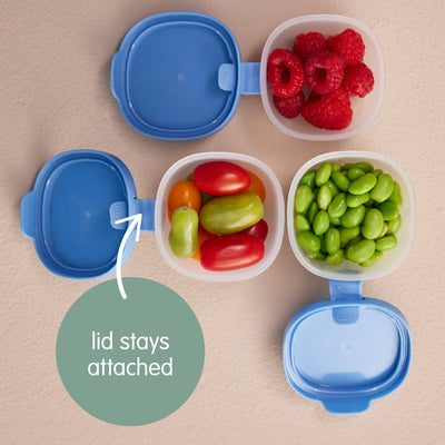 b.box Snack Tubs - Ocean Mealtime b.box 