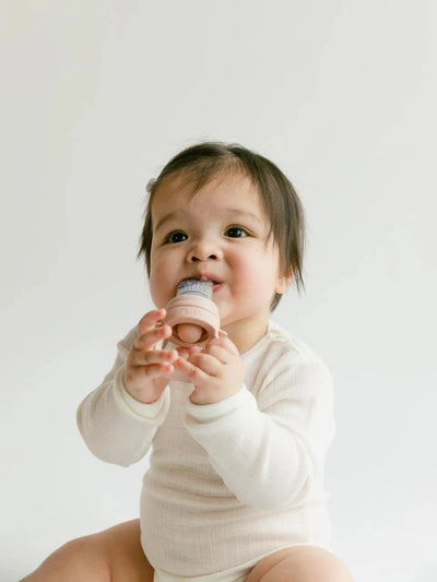 BIBS Dummies - Baby Feeder | Blush Mealtime BIBS Dummies 