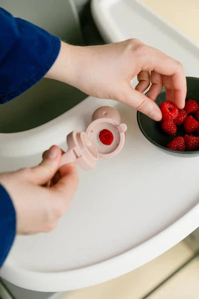 BIBS Dummies - Baby Feeder | Blush Mealtime BIBS Dummies 