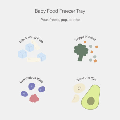 BIBS Dummies - Baby Feeder | Sage Mealtime BIBS Dummies 