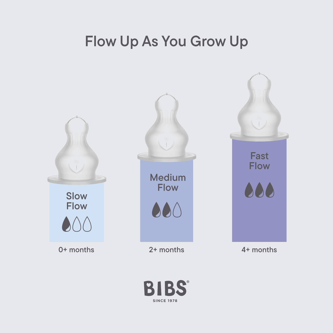 BIBS Dummies - Bottle Replacement Nipple Silicone 2pk | Fast Flow Mealtime BIBS Dummies 