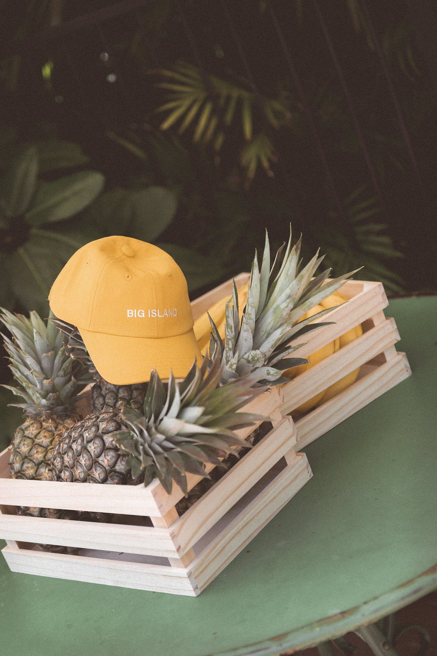 Cinnamon Baby - Adult Big Island Cap | Mustard Caps Cinnamon Baby 