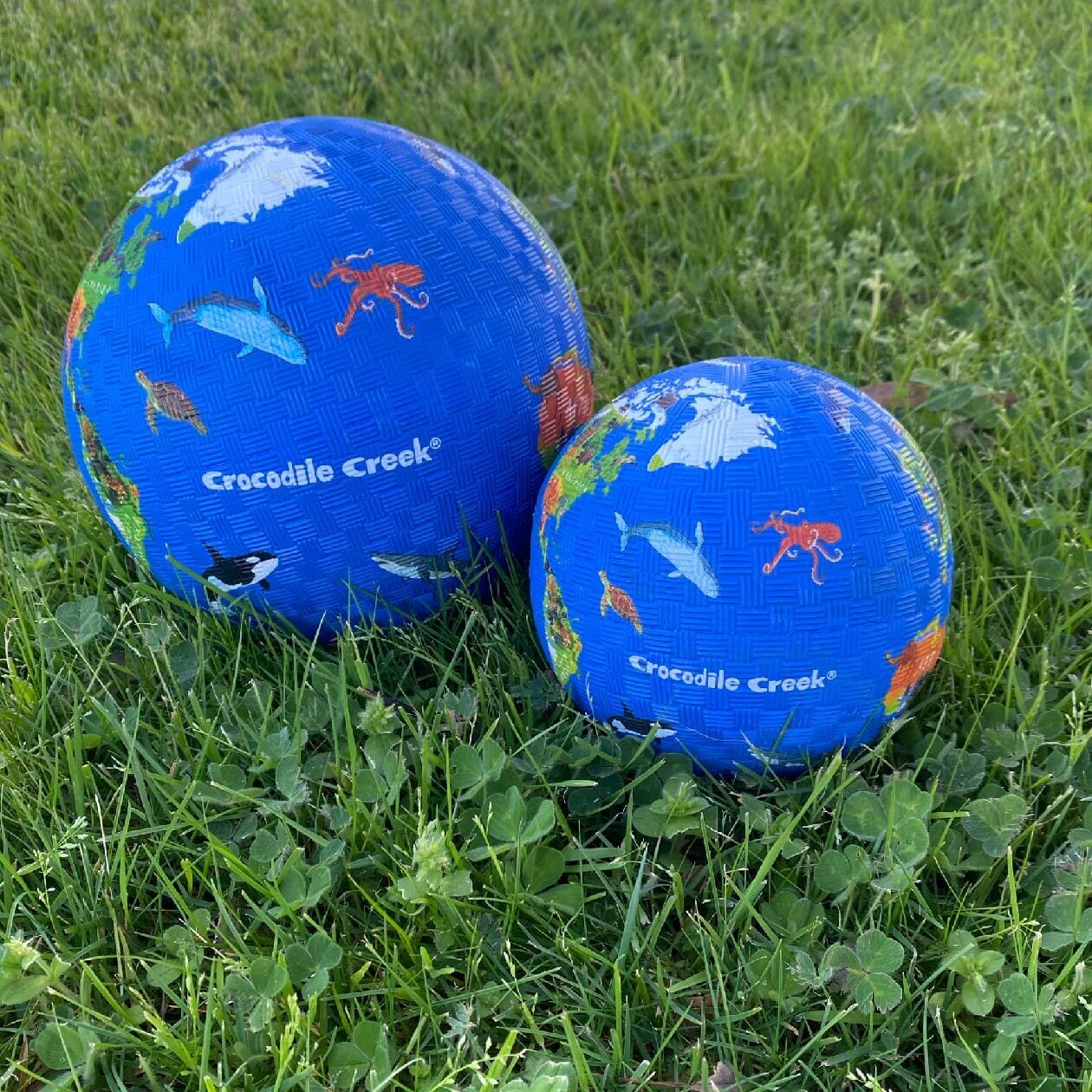 Crocodile Creek - 7 Inch Playground Ball | World Toy Crocodile Creek 