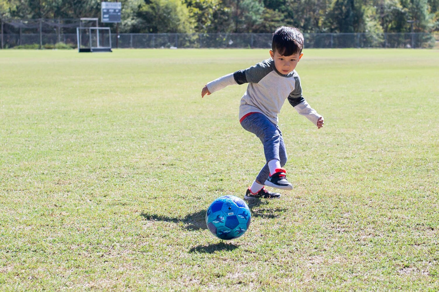 Crocodile Creek - Glitter Soccer Ball | Shark City (Size 3) Toy Crocodile Creek 