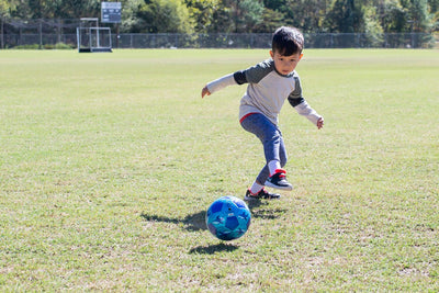 Crocodile Creek - Glitter Soccer Ball | Shark City (Size 3) Toy Crocodile Creek 