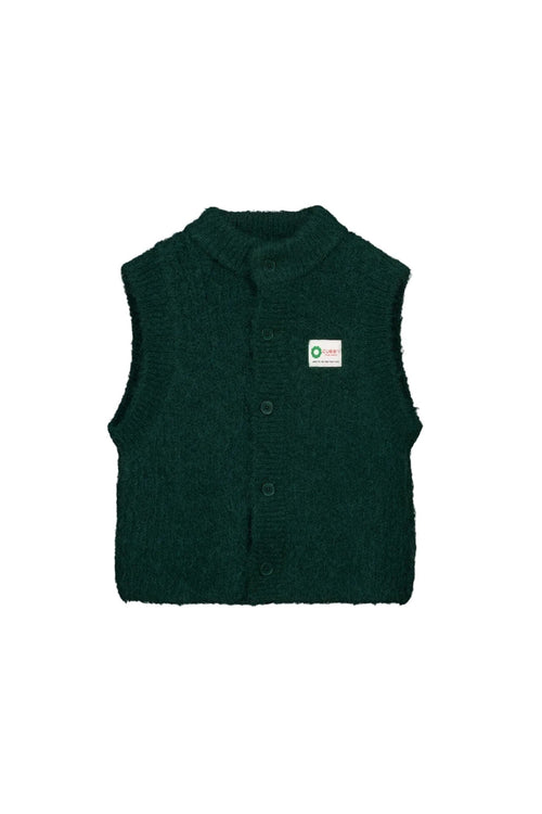 Cubby - Teddy Vest | Dino - PRE ORDER
