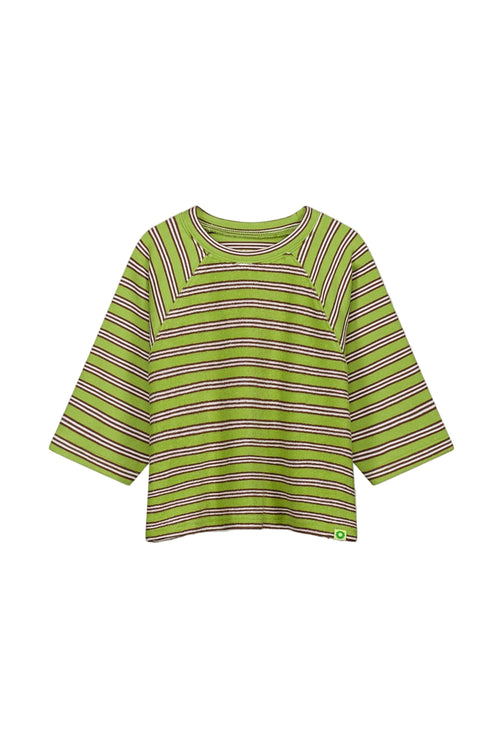 Cubby - Terry Raglan Top | Sprout Stripe