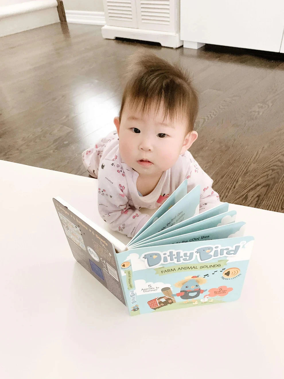 Ditty Bird - Safari Animal Sounds Books Ditty Bird 