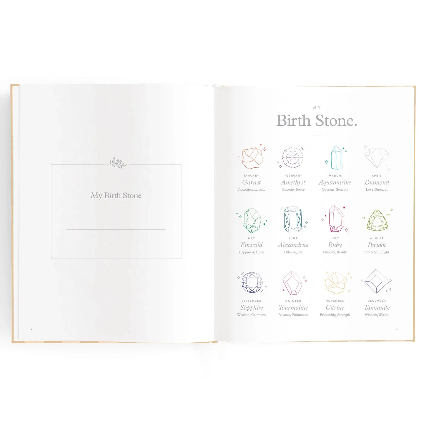 Fox & Fallow - Baby Book | Coffee Stripe Journal Fox & Fallow 