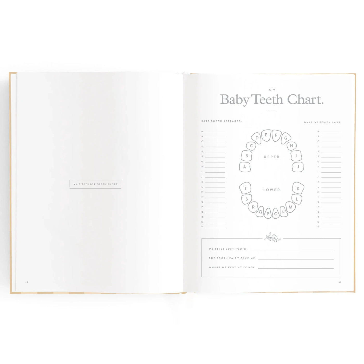 Fox & Fallow - Baby Book | Coffee Stripe Journal Fox & Fallow 
