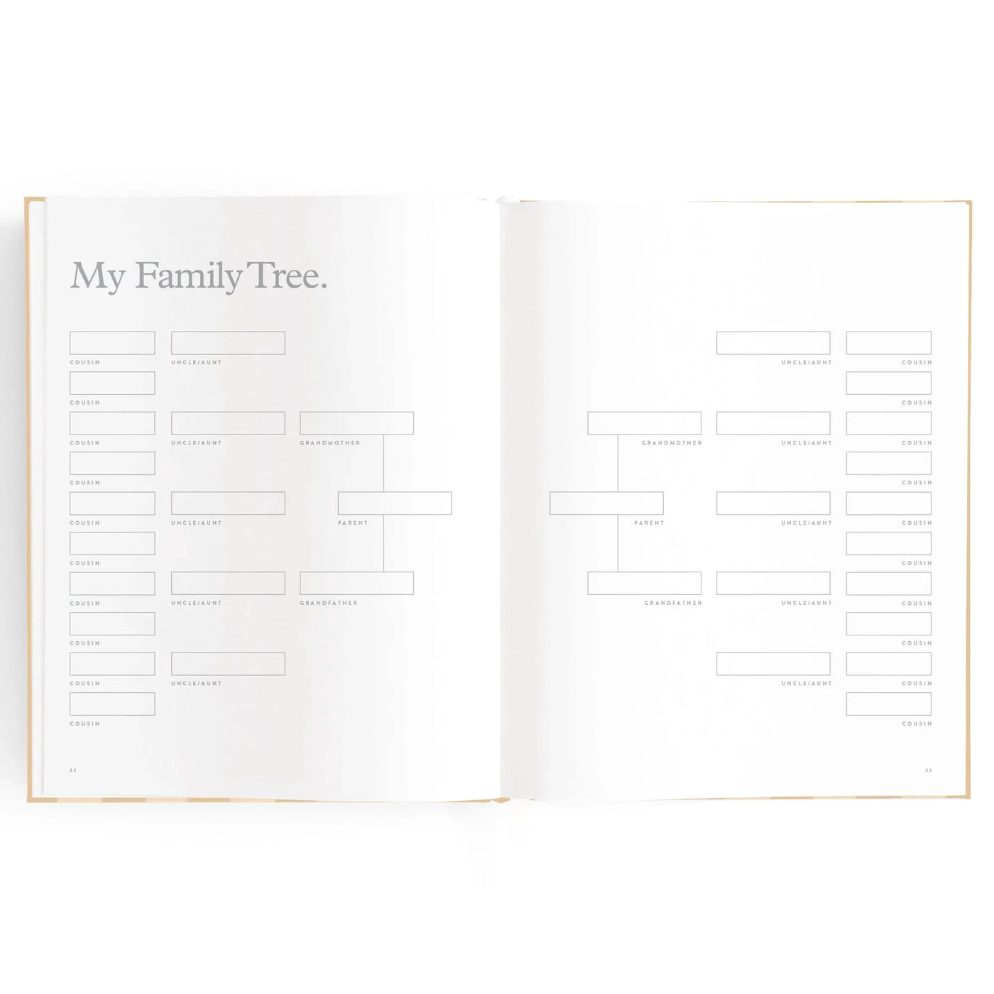 Fox & Fallow - Baby Book | Coffee Stripe Journal Fox & Fallow 