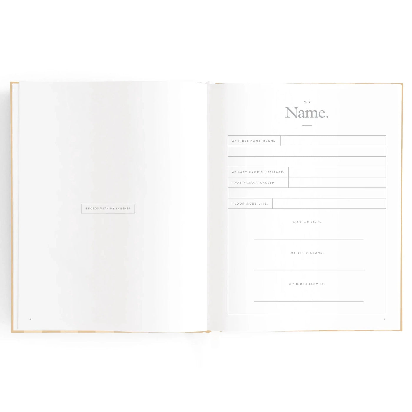 Fox & Fallow - Baby Book | Coffee Stripe Journal Fox & Fallow 