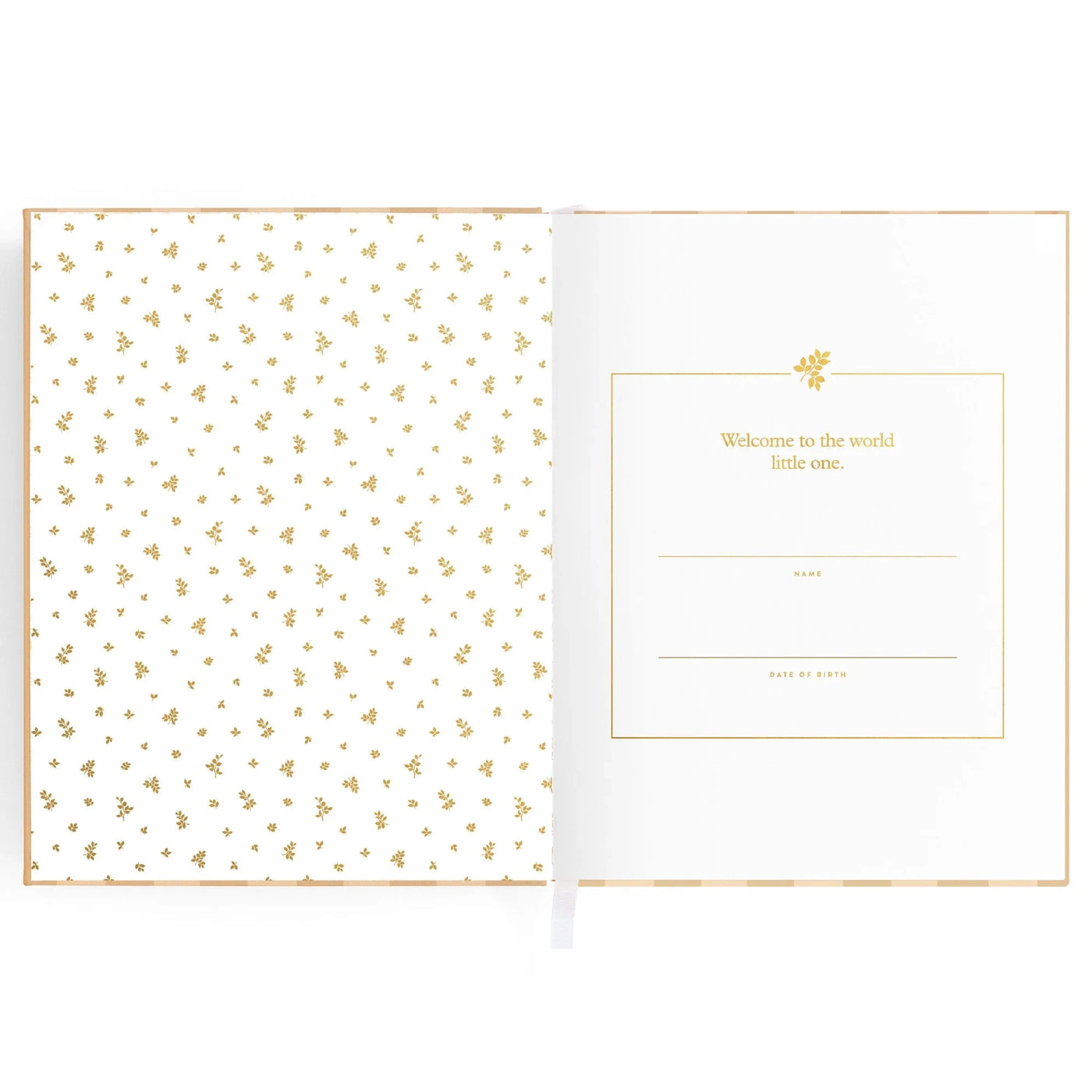 Fox & Fallow - Baby Book | Coffee Stripe Journal Fox & Fallow 