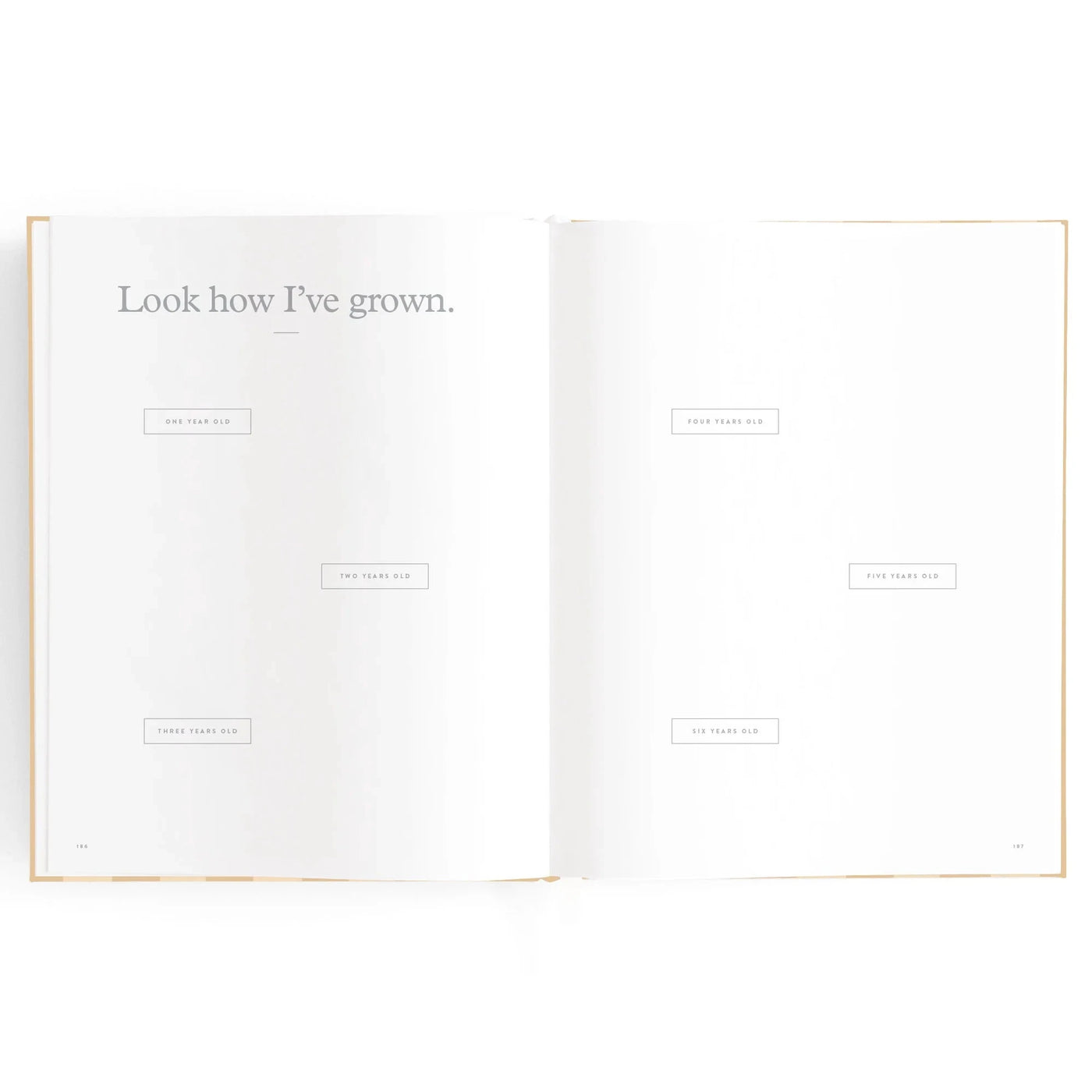 Fox & Fallow - Baby Book | Coffee Stripe Journal Fox & Fallow 