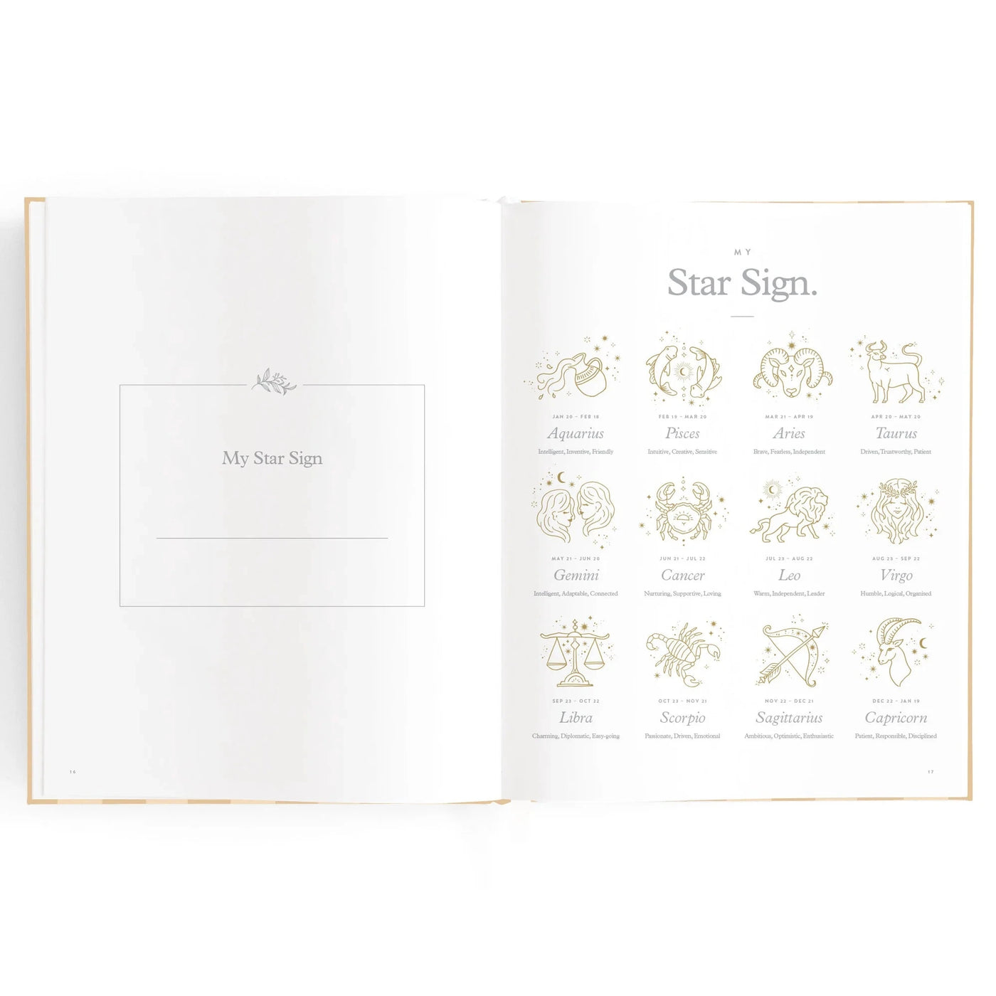 Fox & Fallow - Baby Book | Coffee Stripe Journal Fox & Fallow 