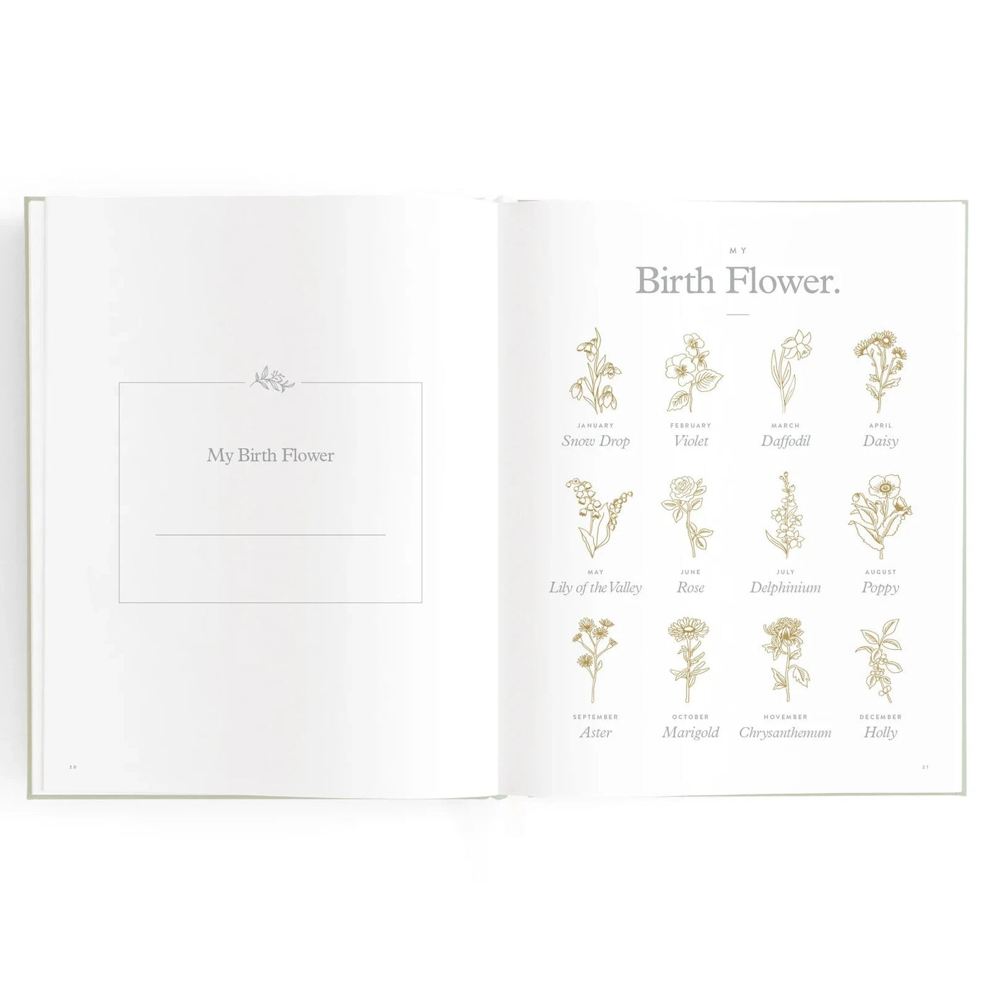 Fox & Fallow - Baby Book | Pink Ducks
