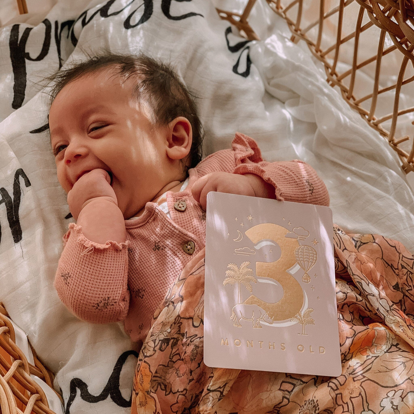 Fox & Fallow - Baby Milestone Cards | Cream Milestones Fox & Fallow 