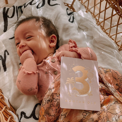 Fox & Fallow - Baby Milestone Cards | Cream Milestones Fox & Fallow 