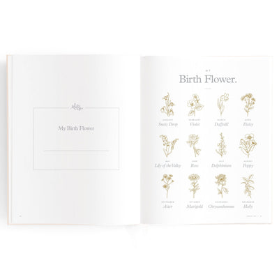 Fox & Fallow - Childhood Journal Journal Fox & Fallow 