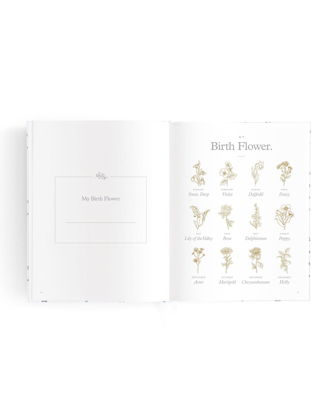 Fox & Fallow - Mini Baby Book | Bluebell Journal Fox & Fallow 