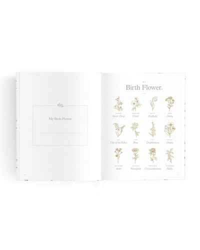 Fox & Fallow - Mini Baby Book | Bluebell Journal Fox & Fallow 
