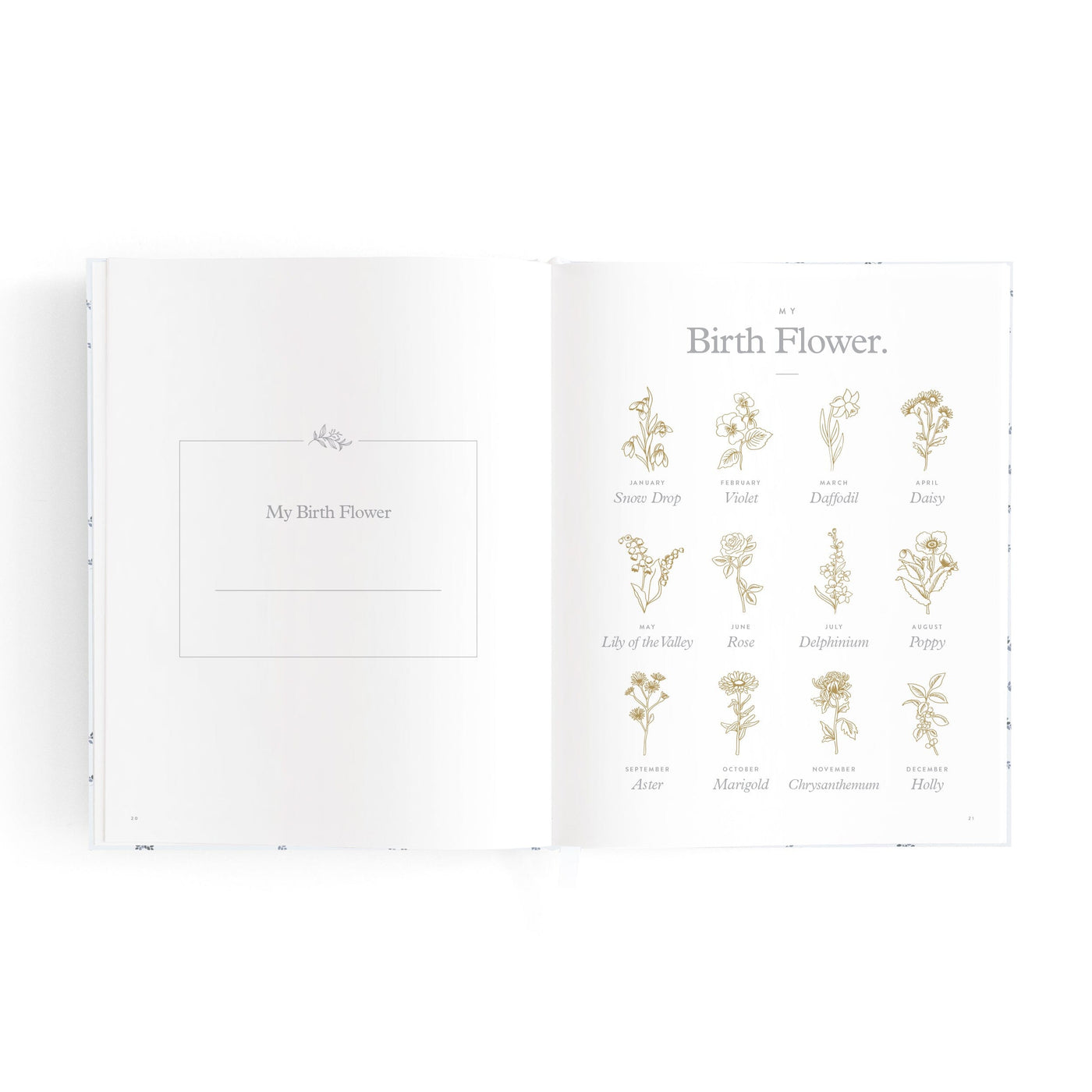 Fox & Fallow - Mini Baby Book | Bluebell Journal Fox & Fallow 