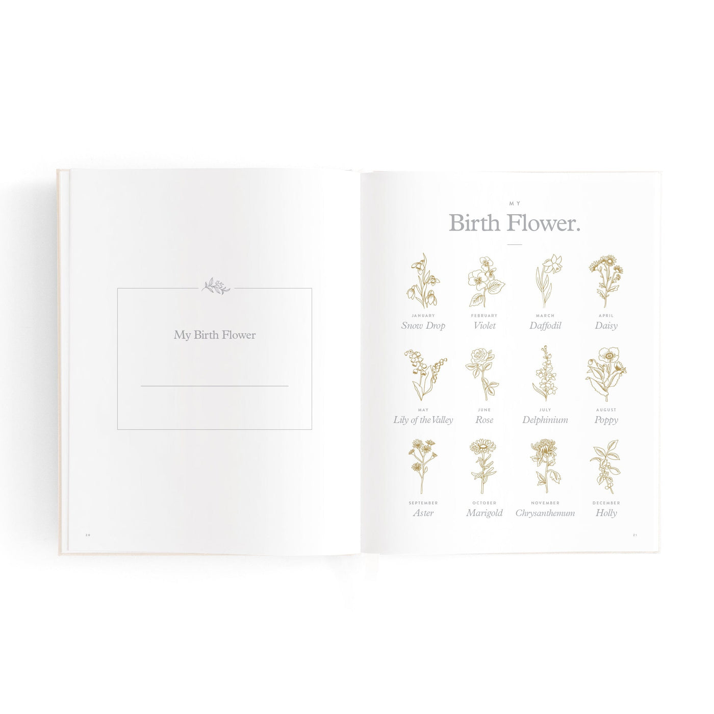 Fox & Fallow - Mini Baby Book | Oatmeal Journal Fox & Fallow 