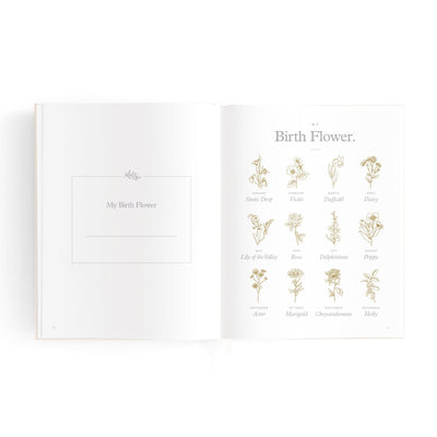 Fox & Fallow - Mini Baby Book | Oatmeal Journal Fox & Fallow 