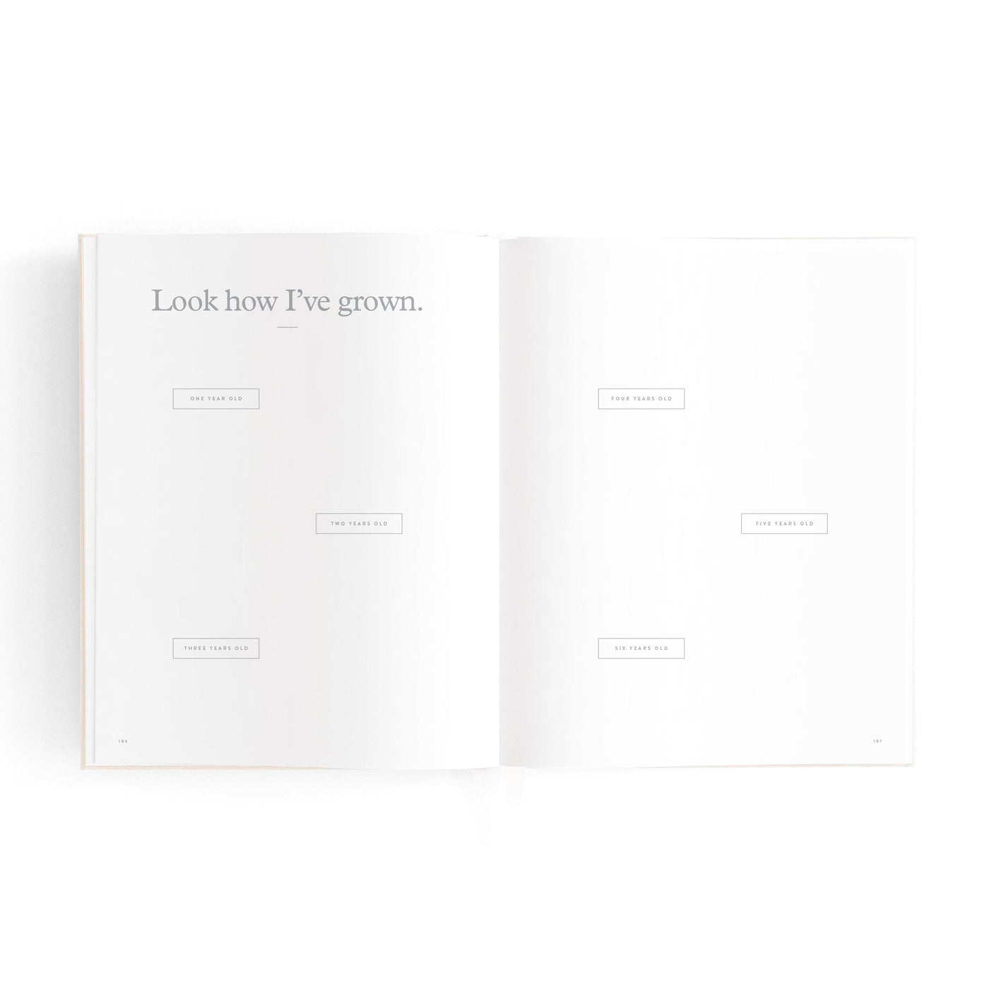Fox & Fallow - Mini Baby Book | Oatmeal Journal Fox & Fallow 