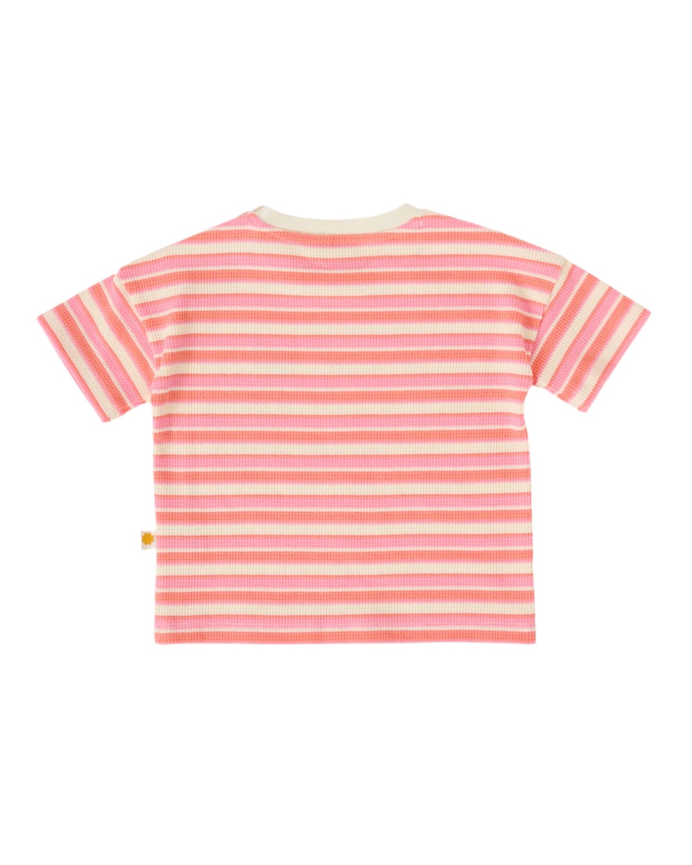 Goldie & Ace - Watermelon Stripe T-Shirt Short Sleeve T-Shirt Goldie & Ace 