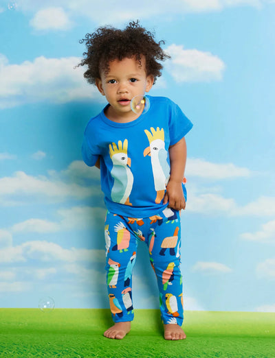 Halcyon Nights - Blue Cockatoo Short Sleeve T Shirt Short Sleeve T-Shirt Halcyon Nights 