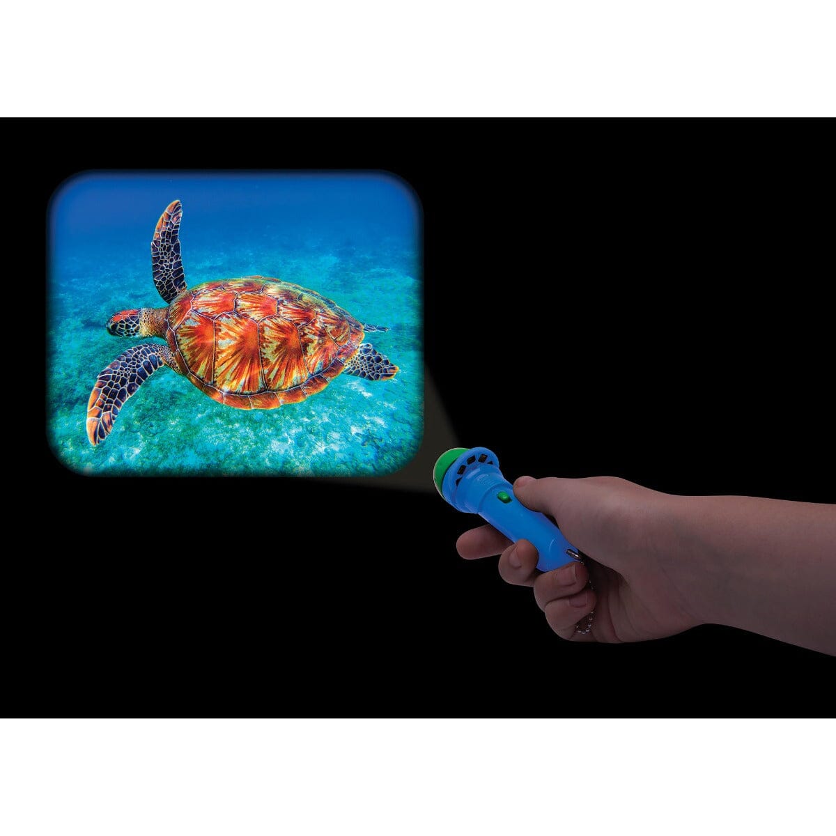 IS Gifts - Torch Projector | Animal Kingdom Blue Activity & Craft IS Gifts 
