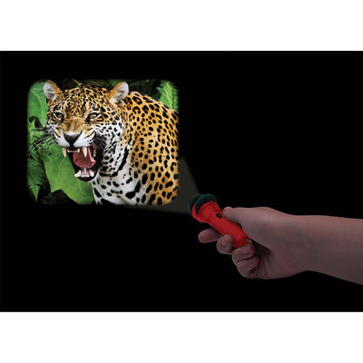 IS Gifts - Torch Projector | Wild Things That Bite And Sting Red Activity & Craft IS Gifts 