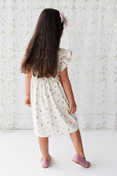 Jamie Kay Ada Dress - Sweet William Floral Natural - Organic Cotton Short Sleeve Dress Jamie Kay 