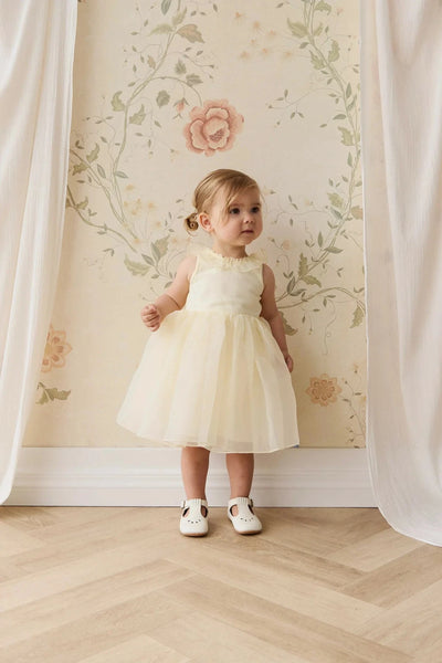 Jamie Kay Adalyn Dress - Lemon Tutu Dress Jamie Kay 
