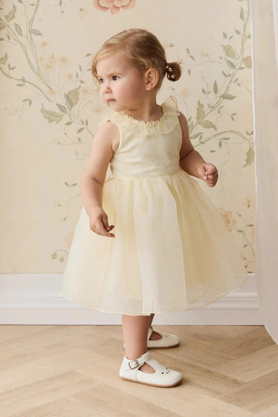 Jamie Kay Adalyn Dress - Lemon Tutu Dress Jamie Kay 