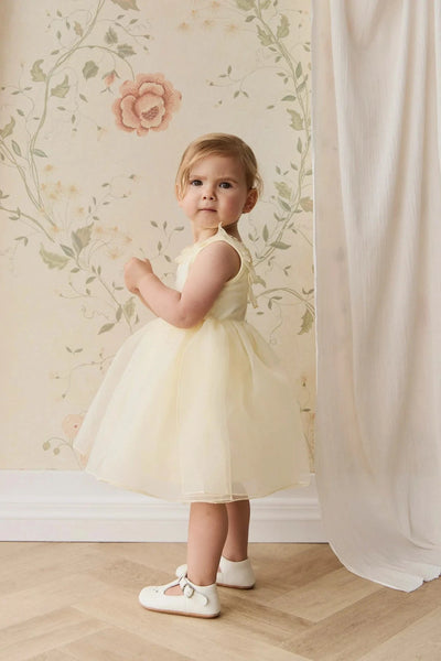 Jamie Kay Adalyn Dress - Lemon Tutu Dress Jamie Kay 