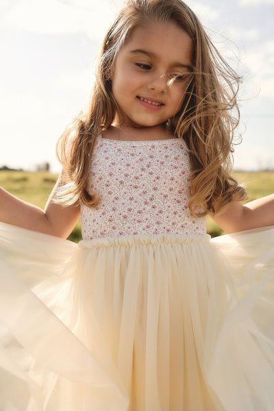 Jamie Kay Katie Tutu Dress - Emmy Natural Tutu Dress Jamie Kay 