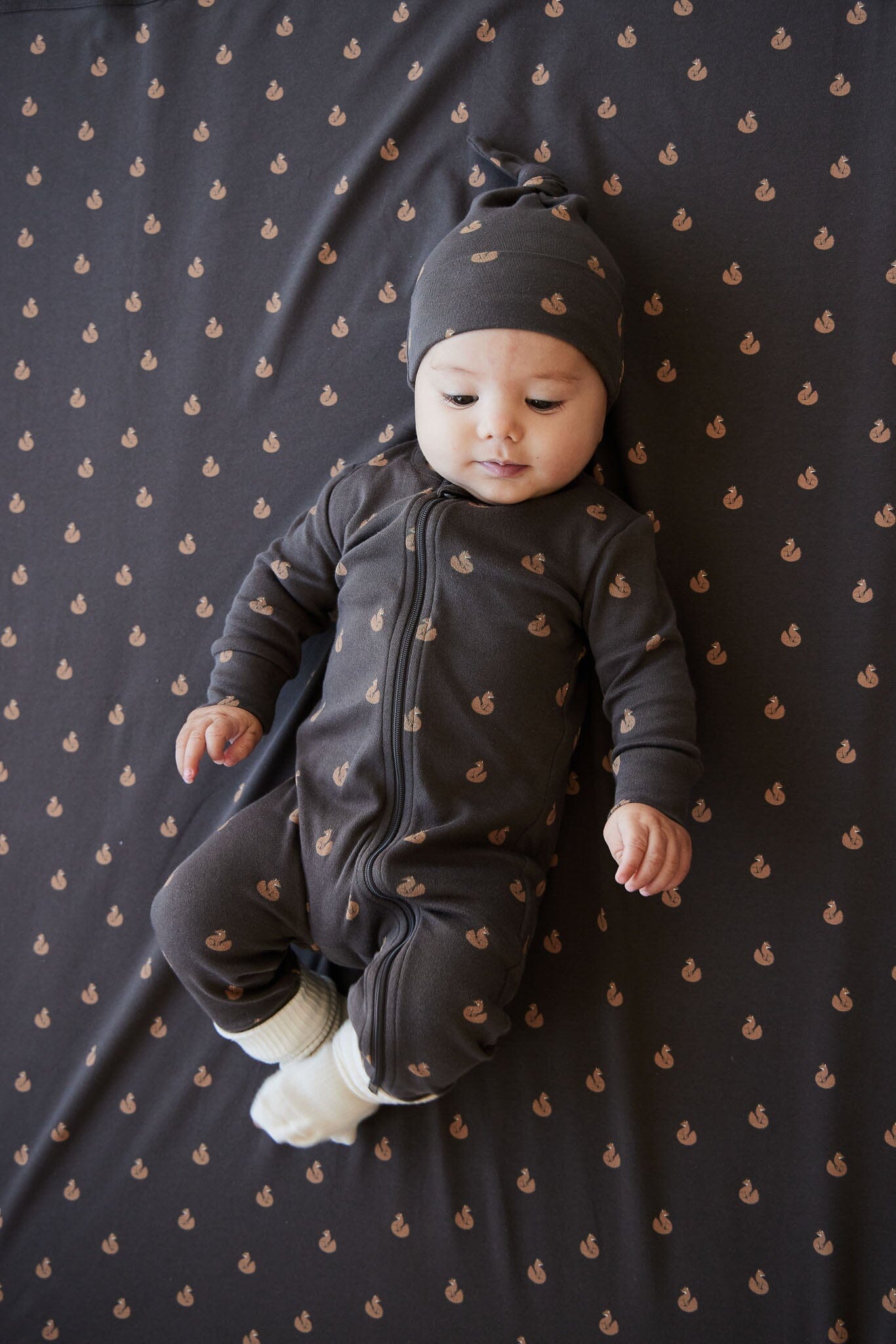 Jamie Kay Reese Zip Onepiece - Fox Cubs Wolf - Organic Cotton Onepiece Jamie Kay 