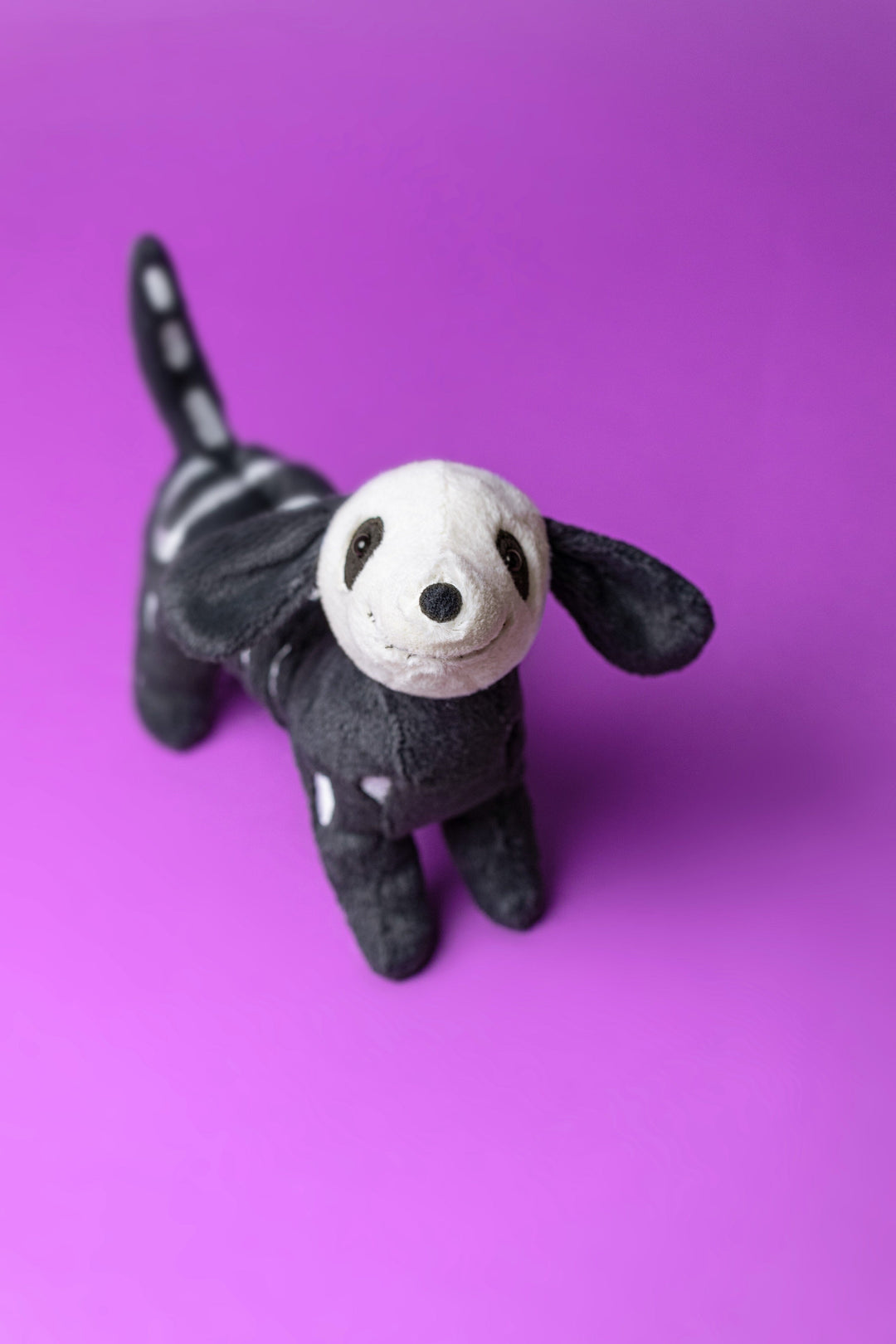 ジェリーキャット Skeledog Dan 生産終了モデル Jellycat - Skeledog Dan - Retired