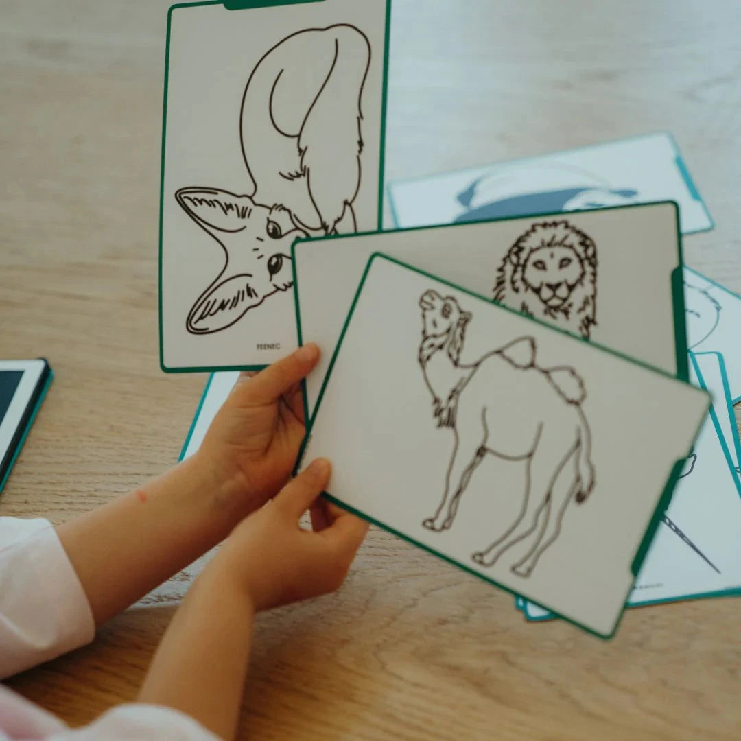 Kidywolf - Kidydraw Mini | Animals around the World Activity & Craft Kidywolf 