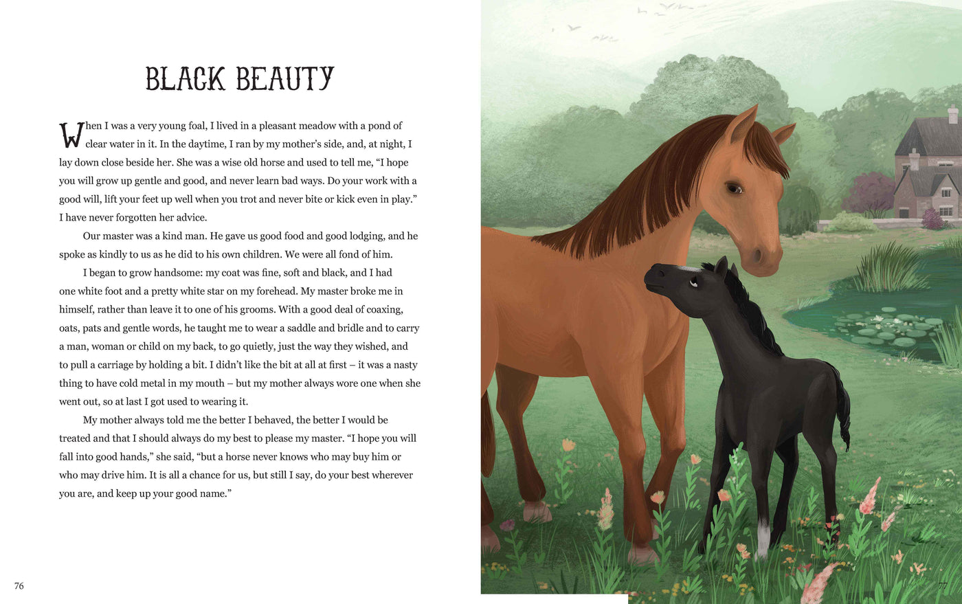 Lake Press - A Treasury of Classic Stories Books Lake Press 