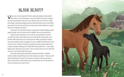 Lake Press - A Treasury of Classic Stories Books Lake Press 
