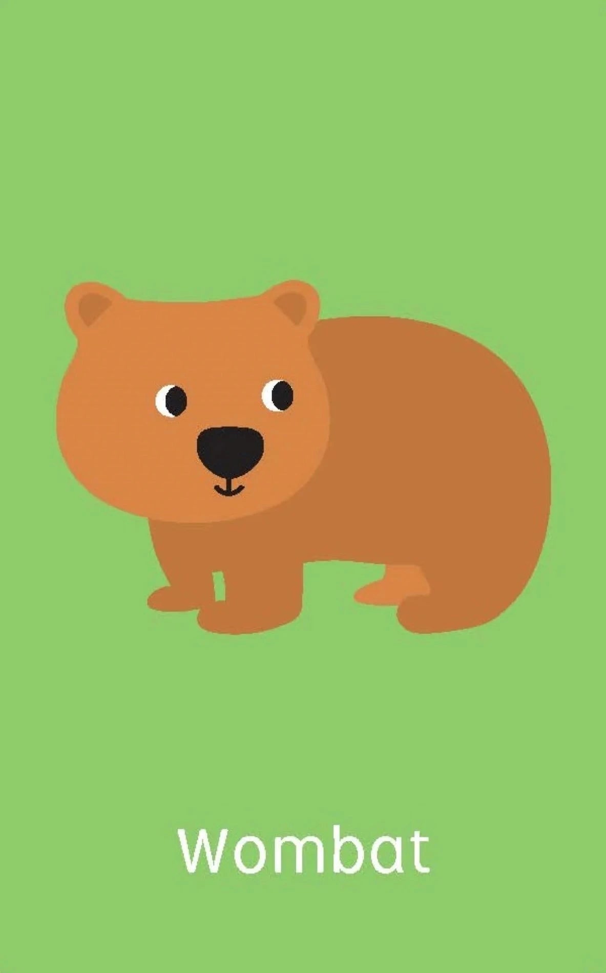 Lake Press - Little Genius Vol.2 Snap Cards | Australian Animals Books Lake Press 