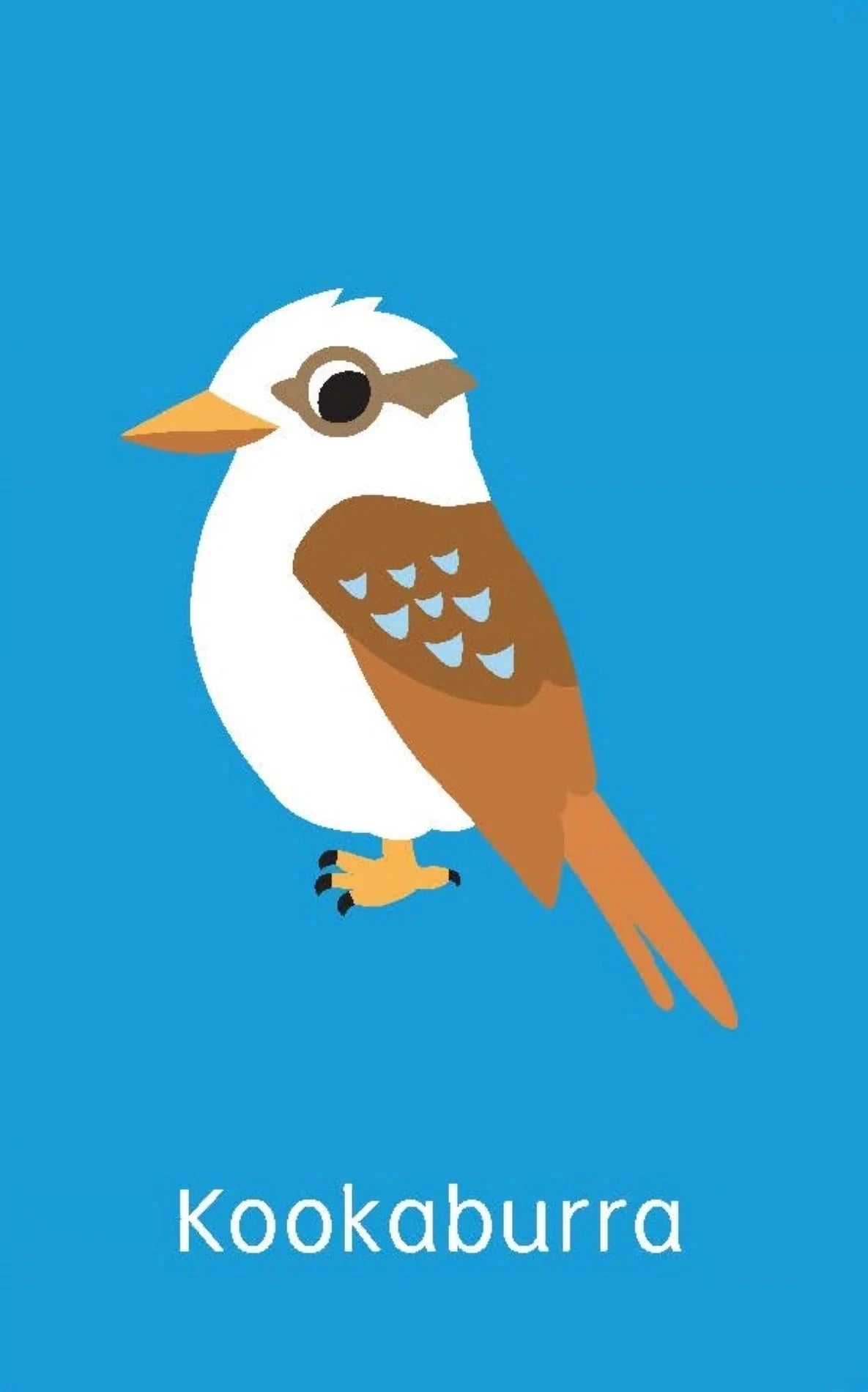 Lake Press - Little Genius Vol.2 Snap Cards | Australian Animals Books Lake Press 
