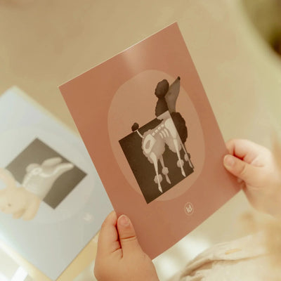 Little Dutch - Veterinary Set Wooden Toy Little Dutch 