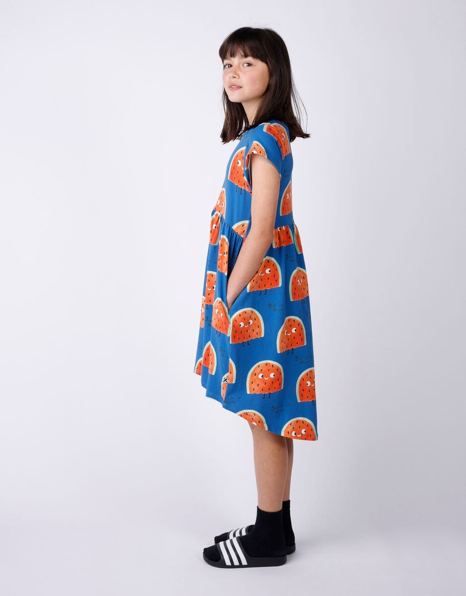 Minti - One In A Melon Dress | Blue Short Sleeve Dress Minti 