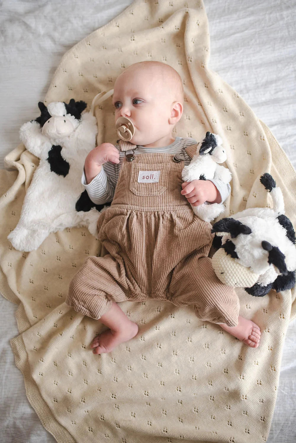 Nana Huchy - Clover the Cow Hoochy Coochie | Black Soft Toy Nana Huchy 
